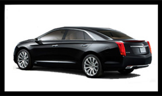 elite limousine